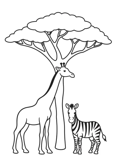 Giraff och zebra under ett akaciaträd